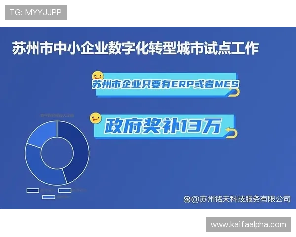 K8app下载：助力中小企业快速实现数字化转型