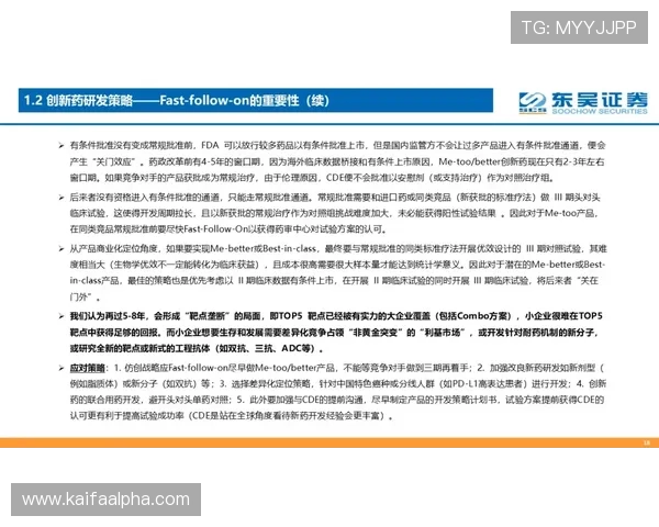 凯发PG电子游艺的技术保障与安全措施确保玩家资金与个人信息安全