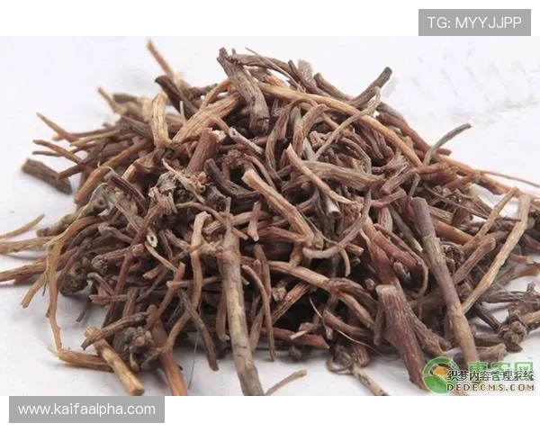 解决凯发旗舰厅登录线路异常问题的有效措施，帮助玩家快速恢复正常游戏体验